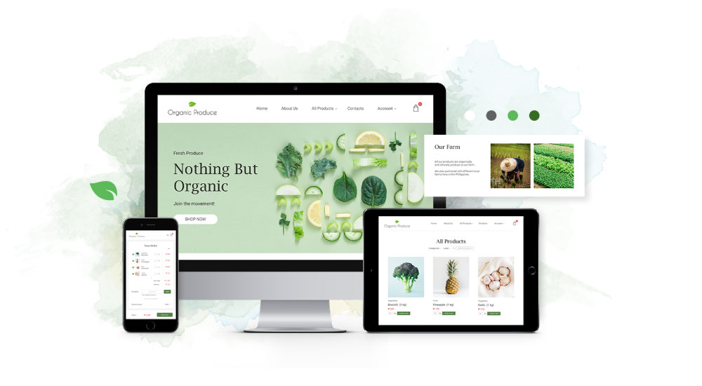 Web design and development commercial package