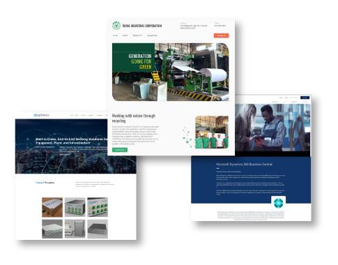 Samples of our B2B websites